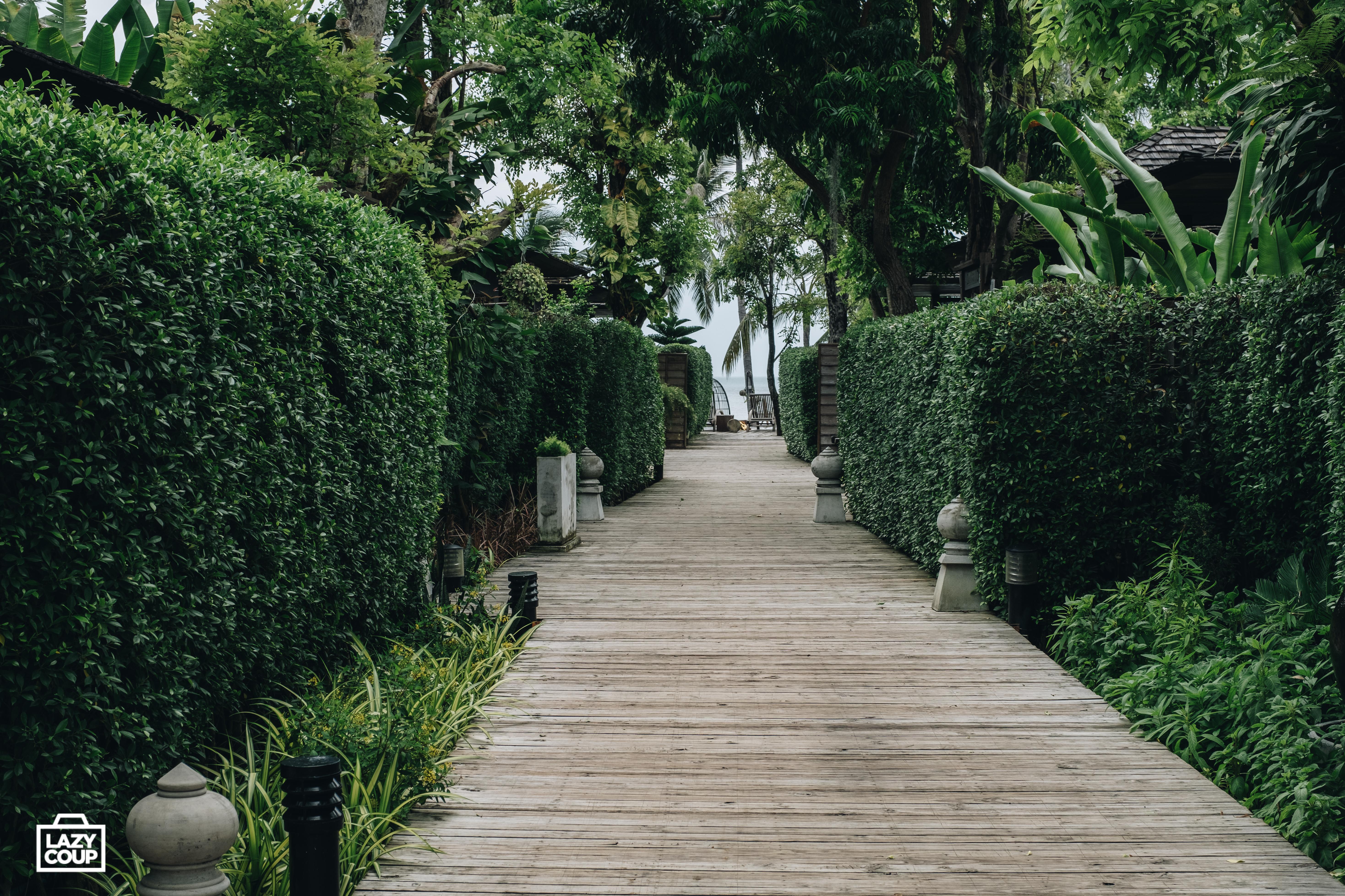 Tango Luxe Beach Villa, Koh Samui Choeng Mon Exteriér fotografie